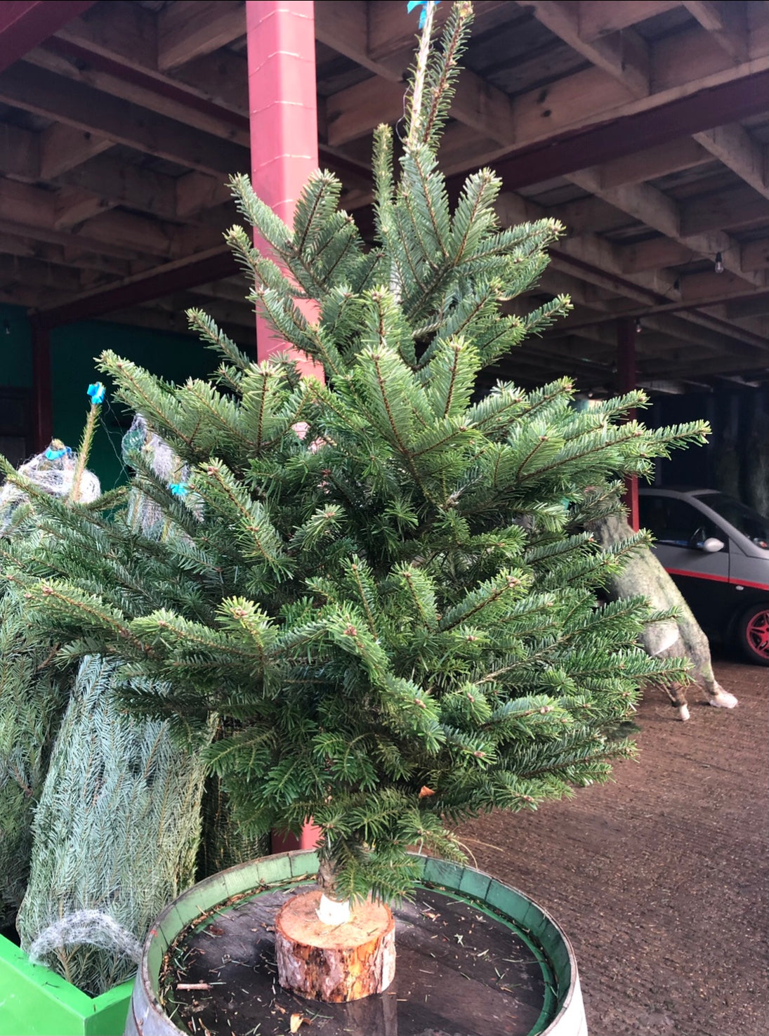 Mini tree